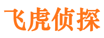 岱山寻人公司